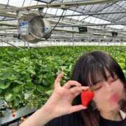 ヒメ日記 2025/04/19 15:59 投稿 なのは 舐めたくてグループ〜ペロンチョ学園〜八王子校