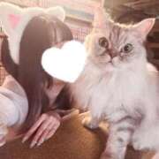 ヒメ日記 2025/08/25 15:51 投稿 なのは 舐めたくてグループ〜ペロンチョ学園〜八王子校