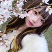 ヒメ日記 2026/04/01 15:49 投稿 なのは 舐めたくてグループ〜ペロンチョ学園〜八王子校