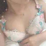 ヒメ日記 2026/02/20 10:55 投稿 みどり 桜sakura(名古屋)