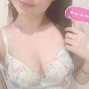 ヒメ日記 2026/06/17 08:55 投稿 みどり 桜sakura(名古屋)