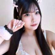 ヒメ日記 2024/12/28 12:14 投稿 りこ Gossip girl