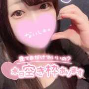 ヒメ日記 2025/02/08 07:56 投稿 ひな 11チャンネル