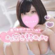 ヒメ日記 2025/02/11 08:27 投稿 ひな 11チャンネル