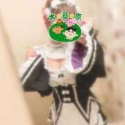 ヒメ日記 2025/02/12 13:01 投稿 ひな 11チャンネル