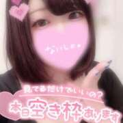 ヒメ日記 2025/02/28 06:55 投稿 ひな 11チャンネル