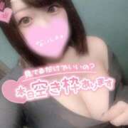 ヒメ日記 2025/03/22 08:02 投稿 ひな 11チャンネル