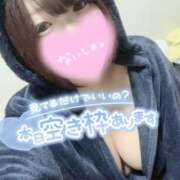 ヒメ日記 2025/03/23 07:04 投稿 ひな 11チャンネル