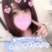 ヒメ日記 2025/04/29 08:20 投稿 ひな 11チャンネル