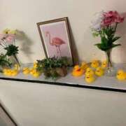 ヒメ日記 2025/05/19 10:01 投稿 ひな 11チャンネル