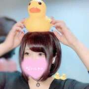 ヒメ日記 2025/05/19 14:00 投稿 ひな 11チャンネル