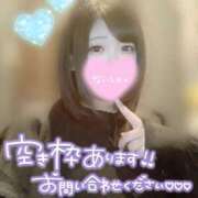 ヒメ日記 2025/06/09 14:52 投稿 ひな 11チャンネル