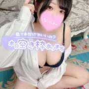 ヒメ日記 2025/07/08 08:00 投稿 ひな 11チャンネル