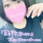 ヒメ日記 2025/08/17 15:48 投稿 ひな 11チャンネル