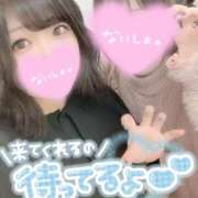 ヒメ日記 2025/10/27 15:27 投稿 ひな 11チャンネル