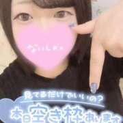 ヒメ日記 2025/12/02 07:28 投稿 ひな 11チャンネル