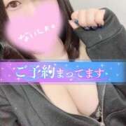 ヒメ日記 2026/04/15 06:08 投稿 ひな 11チャンネル