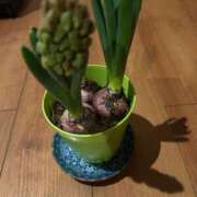 ヒメ日記 2025/02/08 06:03 投稿 ななこ 小田原人妻城