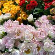 ヒメ日記 2025/09/18 07:02 投稿 ななこ 小田原人妻城