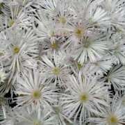 ヒメ日記 2025/09/18 11:38 投稿 ななこ 小田原人妻城