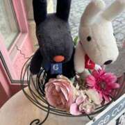 ヒメ日記 2025/11/18 07:28 投稿 ななこ 小田原人妻城