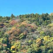 ヒメ日記 2025/11/18 07:43 投稿 ななこ 小田原人妻城