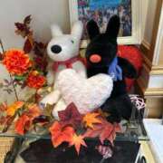 ヒメ日記 2025/11/19 08:43 投稿 ななこ 小田原人妻城