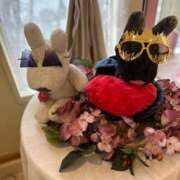 ヒメ日記 2025/11/20 04:34 投稿 ななこ 小田原人妻城