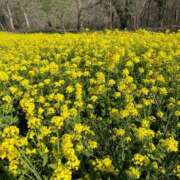 ヒメ日記 2026/03/30 06:58 投稿 ななこ 小田原人妻城