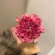 ヒメ日記 2025/04/11 14:27 投稿 さくら リニューアル