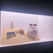 ヒメ日記 2025/05/20 14:15 投稿 さくら リニューアル