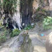 ヒメ日記 2025/07/19 14:54 投稿 さくら リニューアル