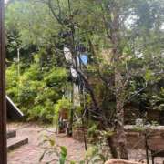 ヒメ日記 2025/09/26 09:00 投稿 さくら リニューアル