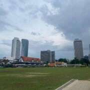 ヒメ日記 2025/10/08 09:00 投稿 さくら リニューアル