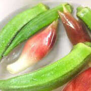 ヒメ日記 2025/07/08 15:31 投稿 けいちゃん ちょい！ぽちゃロリ倶楽部Hip's馬橋店