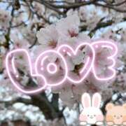 あおい お久しぶりです😆 イエスグループ熊本 TSUBAKI(ツバキ)