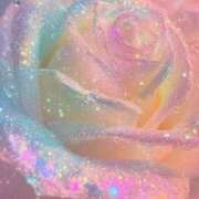 ヒメ日記 2024/12/21 14:41 投稿 詩香 Arrest（アレスト）