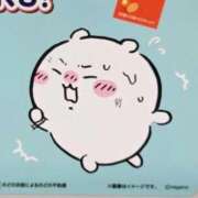 ヒメ日記 2026/02/07 13:41 投稿 芹沢 ゆず コンフォート