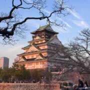 芹沢 ゆず サクラ咲ケ🌸 コンフォート