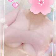 ヒメ日記 2025/06/04 22:42 投稿 つくし 丸妻 厚木店