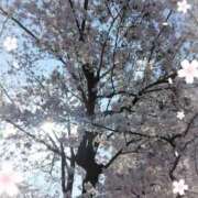 ヒメ日記 2026/03/30 21:08 投稿 つくし 丸妻 厚木店