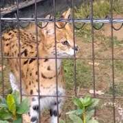 ヒメ日記 2025/07/16 19:37 投稿 りょうこ 国分寺人妻研究会