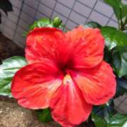 ヒメ日記 2025/07/24 09:48 投稿 りょうこ 国分寺人妻研究会