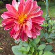 ヒメ日記 2025/10/10 20:45 投稿 りょうこ 国分寺人妻研究会