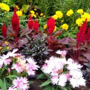 ヒメ日記 2025/10/26 18:46 投稿 りょうこ 国分寺人妻研究会