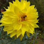 ヒメ日記 2025/11/09 18:32 投稿 りょうこ 国分寺人妻研究会