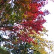 りょうこ りょうこです。今週の謝意。 国分寺人妻研究会