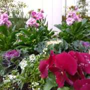 りょうこ りょうこです。今週の謝意と、また来年 国分寺人妻研究会