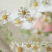 ヒメ日記 2025/02/07 11:08 投稿 えと RIZE（リゼ）