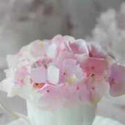 ヒメ日記 2025/05/08 23:48 投稿 えと RIZE（リゼ）